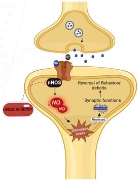 Inhibiting nNOS to Treat ASD-Like Phenotypes