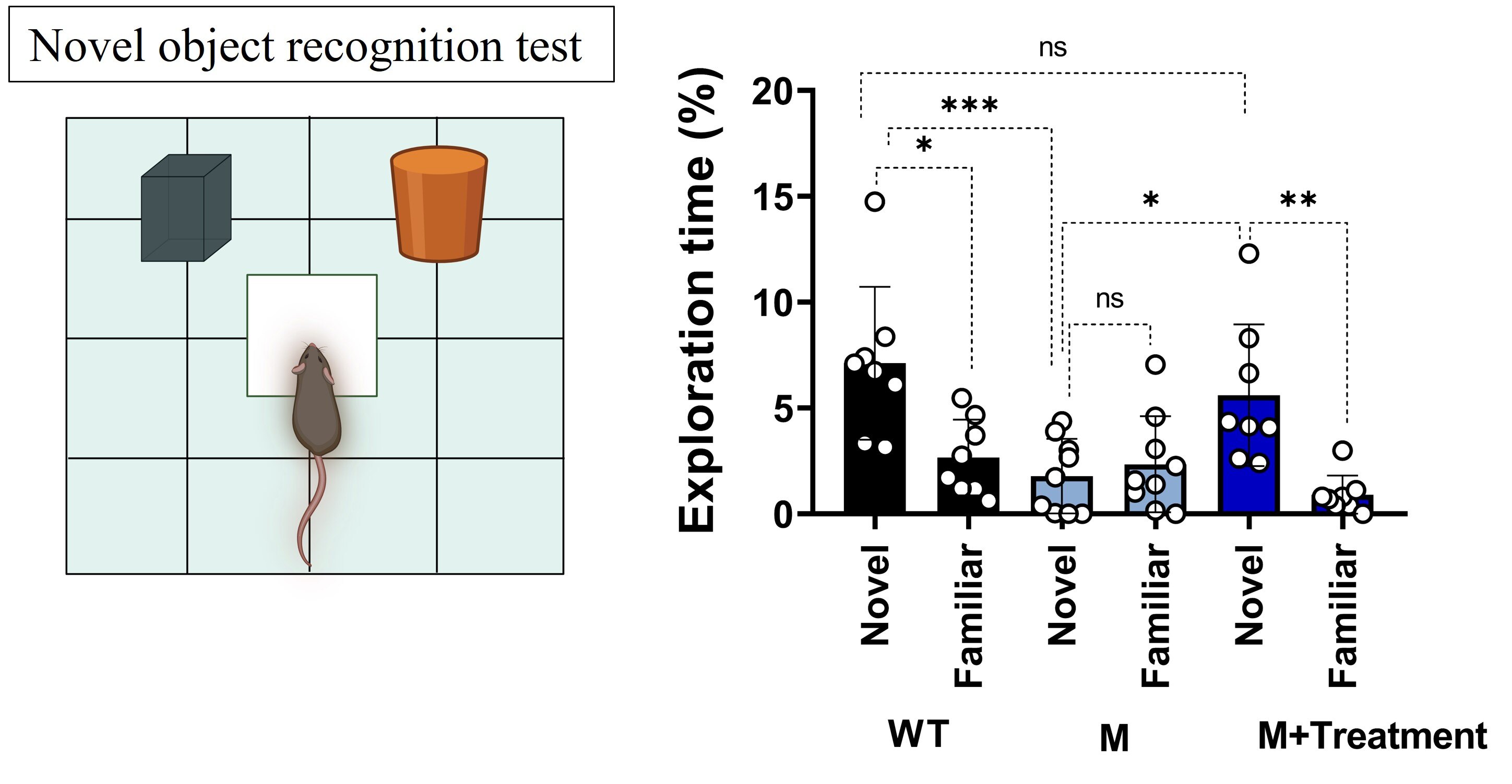 Increased Novelty-Seeking and Reduced Restricted Behavior