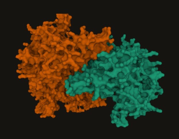 Targeting NO Production in the Brain