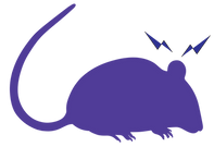 anxiety mouse small